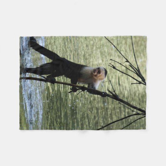 Kapuzineraffe Fleecedecke (Vorderseite (Horizontal))