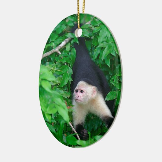 Kapuzineraffe Keramik Ornament (Links)