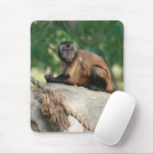 Kapuzineraffe Niedlich, aber launisch Mousepad (Mit Mouse)