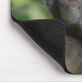 Kapuzineraffe Niedlich, aber launisch Mousepad (Ecke)