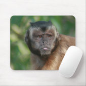 Kapuzineraffe Niedlich, aber launisch Mousepad (Mit Mouse)