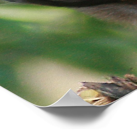 Kapuzineraffe Niedlich, aber launisch Poster (Ecke)