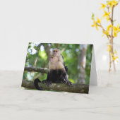 Kapuzineraffen Karte (Gelbe Blume)
