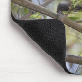 Kapuzinerkapuchin, Guanacaste, Costa Rica Mousepad (Ecke)