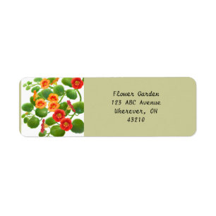 Kapuzinerkäse-Blumen-Garten-kundengerechte