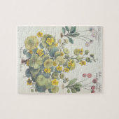 Kapuzinerkäse und Gänseblümchen: 1.Nasturtium Puzzle (Horizontal)