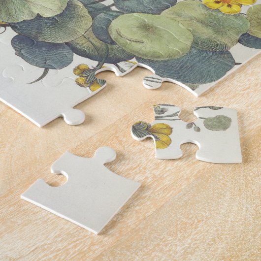 Kapuzinerkäse und Gänseblümchen: 1.Nasturtium Puzzle (Seite)