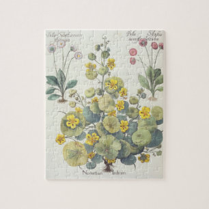 Kapuzinerkäse und Gänseblümchen: 1.Nasturtium Puzzle