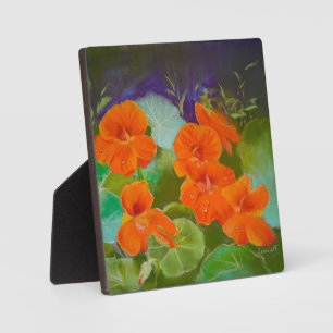 Kapuzinerkresse-Blüte - Botanisches Pastell Fotoplatte