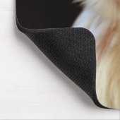 Kapuzinus (Cebus capucinus) Mousepad (Ecke)