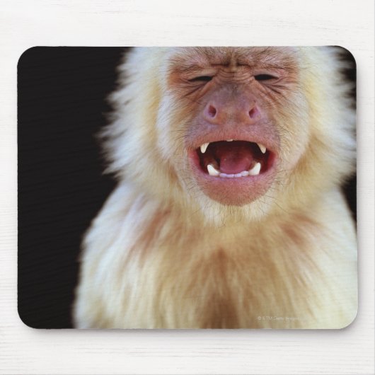 Kapuzinus (Cebus capucinus) Mousepad (Vorne)