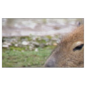 Kapybaras, Stoff (Fat Quarter (45,7 x 55,9 cm))