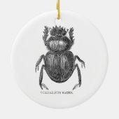 Karabinenkäfer Vintager Pen und Tinte zeichnend Keramikornament (Hinten)