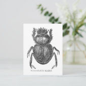 Karabinenkäfer Vintager Pen und Tinte zeichnend Postkarte (Stehend Vorderseite)