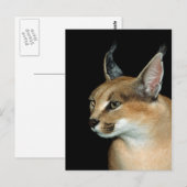 Karacale Postkarte (Vorne/Hinten)