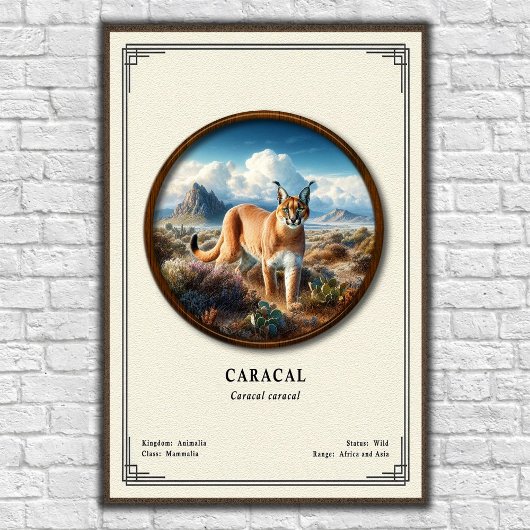 Karakal-Zoologie-Serie Poster