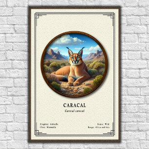 Karakal-Zoologie-Serie Poster