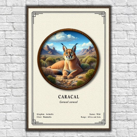 Karakal-Zoologie-Serie Poster