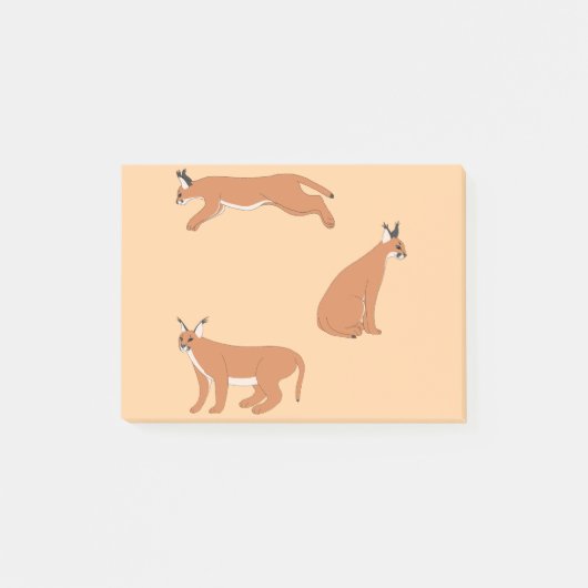 Karakals post-it klebezettel (Vorderseite)