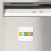 Karalyn-Magnet Magnet (In Situ (Geschirrspüler))