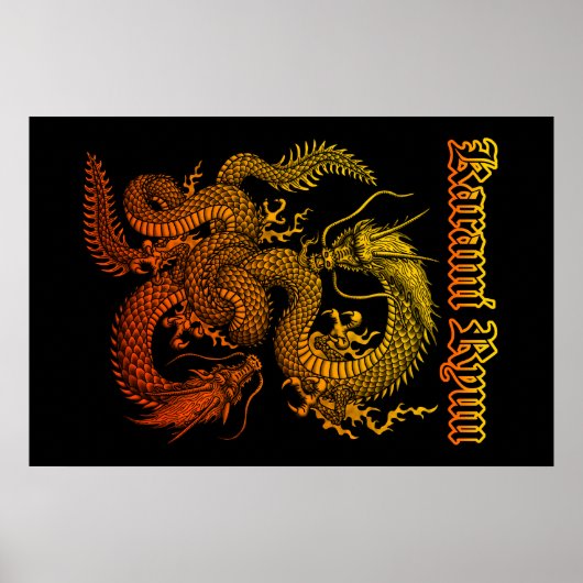 Karami Ryuu 1 Poster (Vorne)