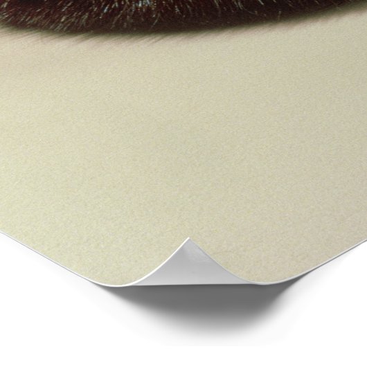 Karan-Krone Poster (Ecke)