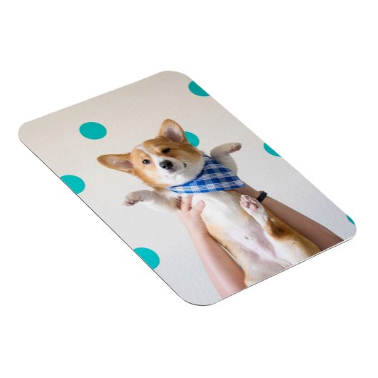 Karate-Corgi-Magnet Magnet (Rechte Seite)