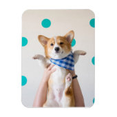Karate-Corgi-Magnet Magnet (Vertikal)