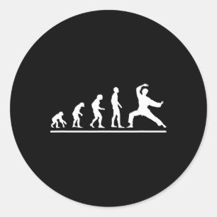 Karate-Evolution Karate-Schlag Männer Lustiger Kar Runder Aufkleber