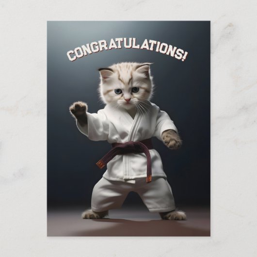 Karate Kätzchen Postkarte (Vorderseite)