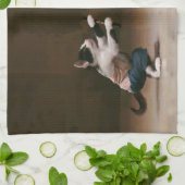 Karate-Katzen Geschirrtuch (Gefaltet)