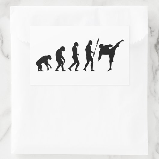 Karate-Kick-Evolution Rechteckiger Aufkleber (Tasche)