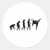 Karate-Kick-Evolution Runder Aufkleber (Vorderseite)