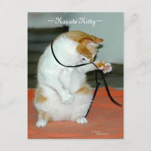 Karate Kitty Cat spielen Postcard Postkarte