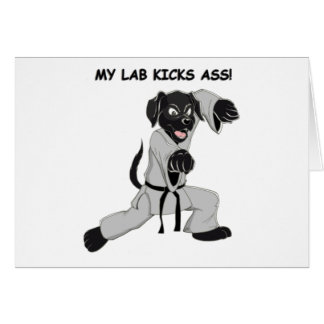 Karate-Labrador
