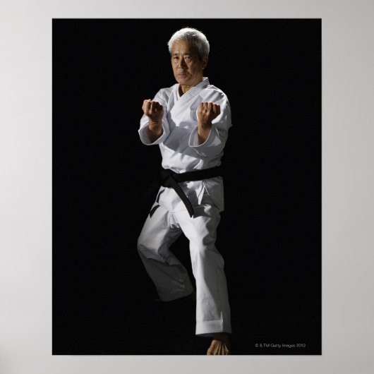 Karate master, Portrait, Studio-Aufnahme 2 Poster (Vorne)