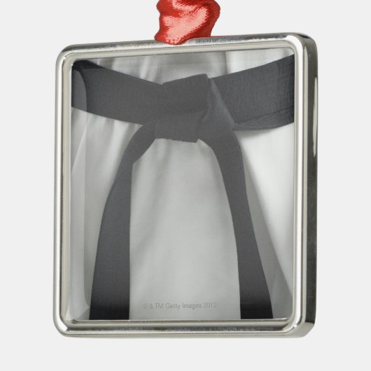 Karate-schwarzer Gürtel Silbernes Ornament (Links)