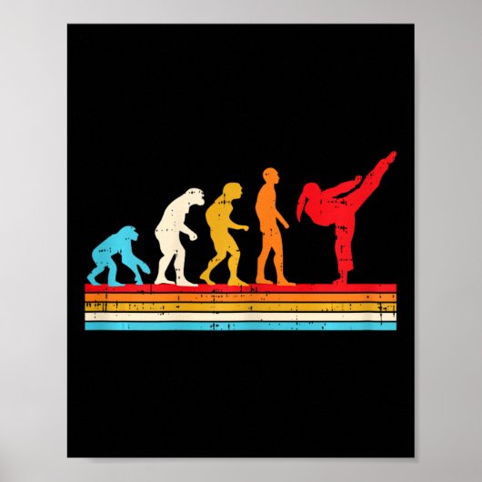 Karate Taekwondo Evolution Mädchen Pferdeschwanz K Poster (Vorne)