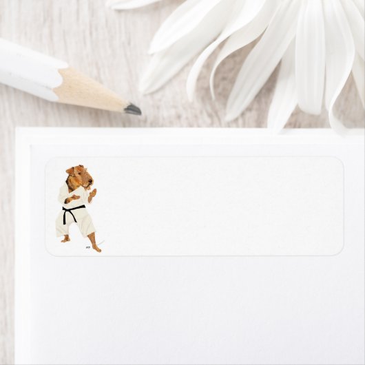 Karate Terrier (Insitu)