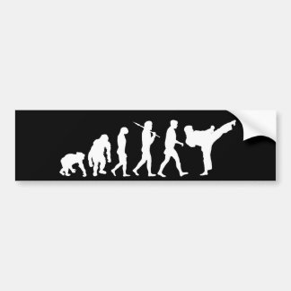Karateliebhaber Dojo-Trainingsgeschenk Autoaufkleber