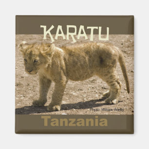 Karatu Tansania Africa Kühlschrankmagnet Lion Cub