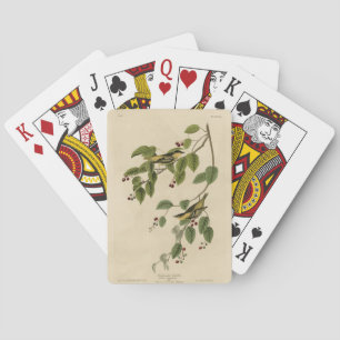 Karbonated Warbler von Audubons Vögeln Amerikas Spielkarten