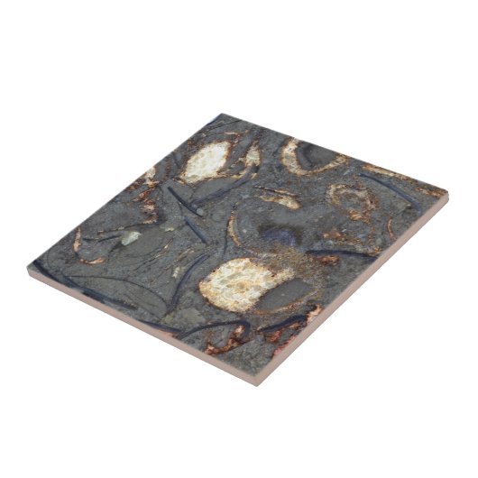 Karbonatsfelsen mit Fossilien Fliese (Seite)