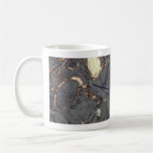 Karbonatsfelsen mit Fossilien Kaffeetasse (Links)