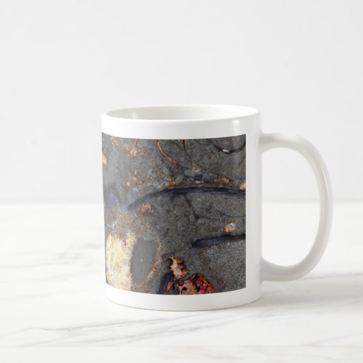 Karbonatsfelsen mit Fossilien Kaffeetasse (Rechts)