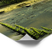 Karboniferwald Poster (Ecke)