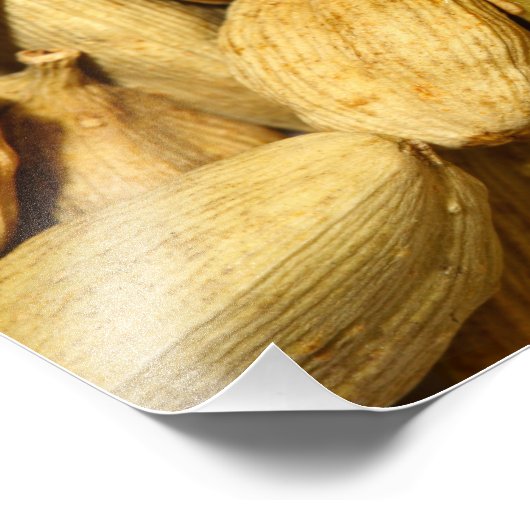 Kardamompoden Fotodruck (Ecke)