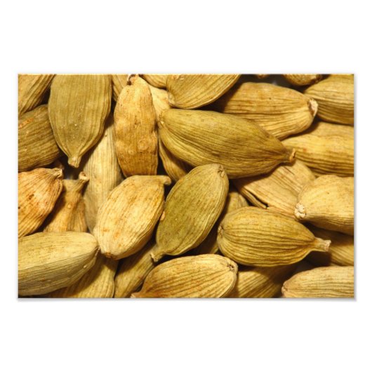 Kardamompoden Fotodruck (Vorne)