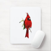 Kardangelenk-Kardinal Mousepad (Mit Mouse)