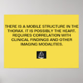 Kardiale Echo-Reportposter Poster (Vorne)